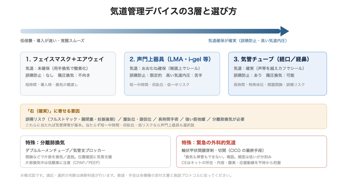 気道管理デバイスの3層(フェイスマスク・声門上器具・気管チューブ)と選び方、分離肺換気・緊急気道