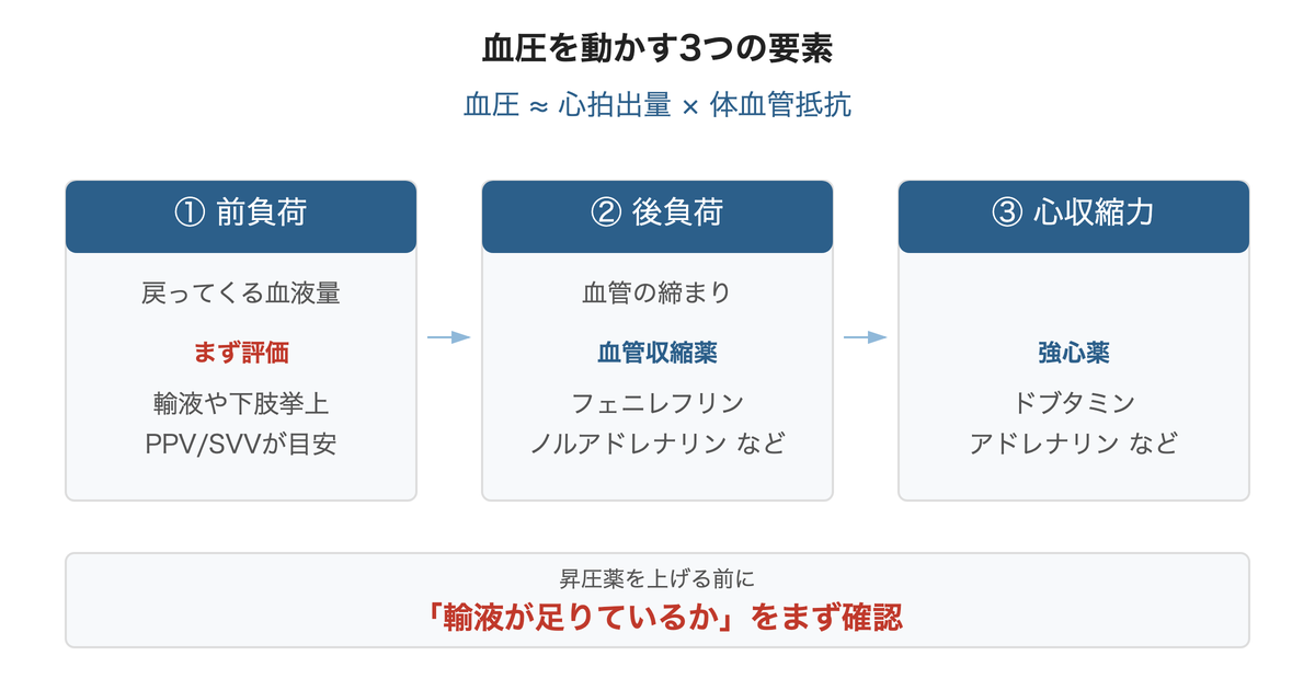 血圧を動かす3つの要素