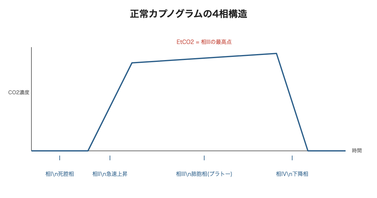 正常カプノグラムの4相構造(相I〜相IV)