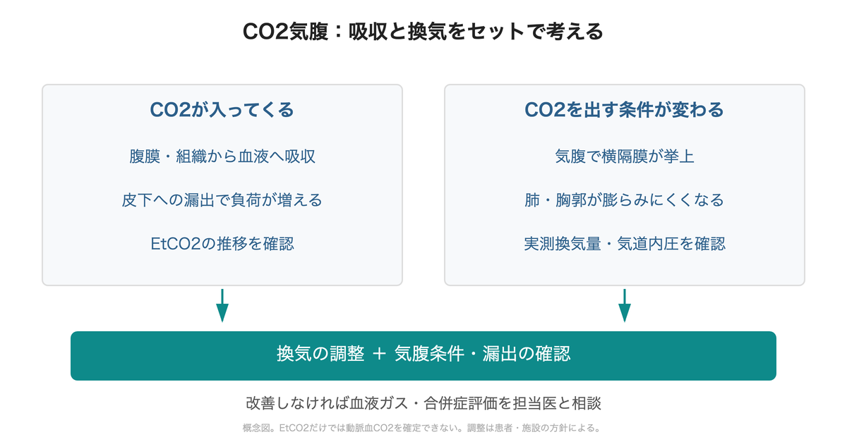 CO2吸収の増加と気腹による換気条件の変化を並行して確認する概念図