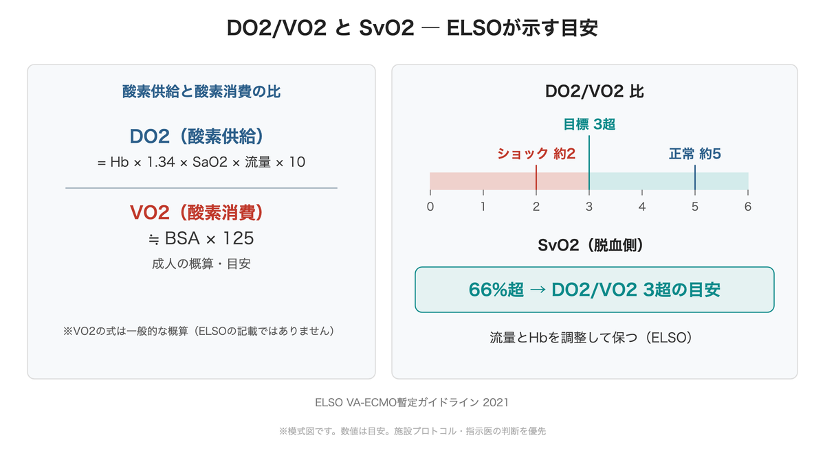 DO2/VO2とSvO2 ― ELSOが示す目安