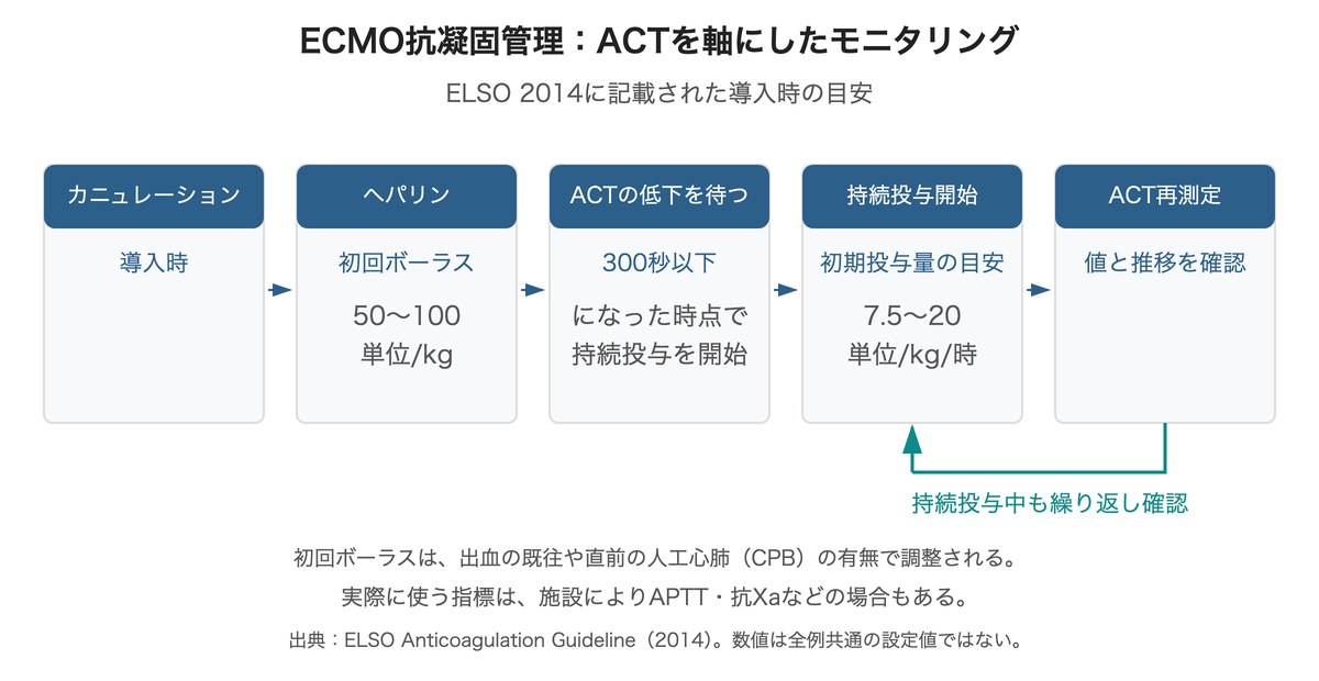 カニュレーションからヘパリンボーラス、ACT低下後の持続投与開始、ACT再測定に戻るモニタリングの流れ