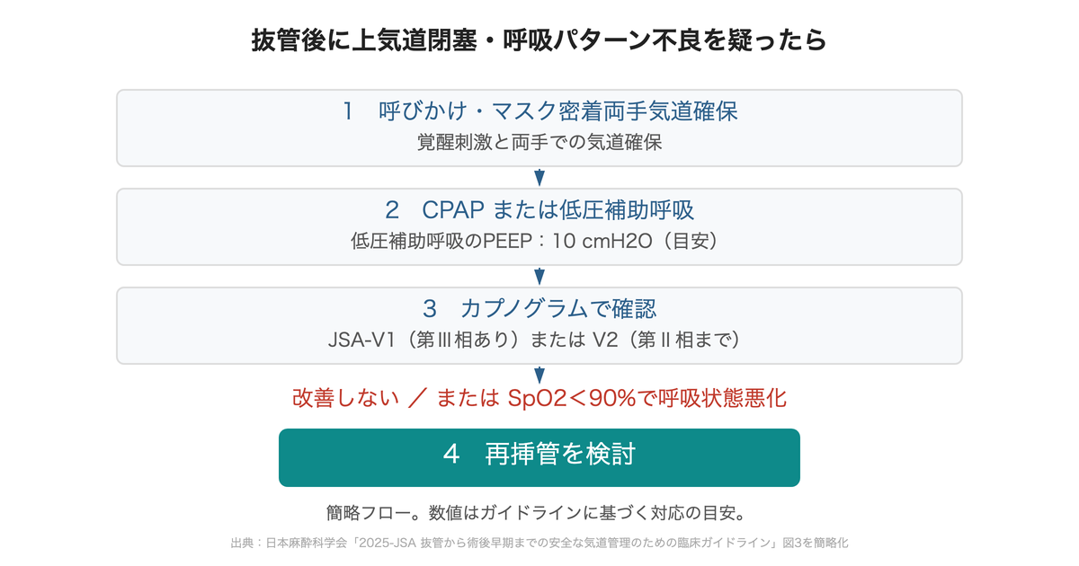 呼びかけと両手気道確保、CPAPまたはPEEPによる低圧補助呼吸、カプノグラム確認、改善しない場合などの再挿管検討を示す流れ
