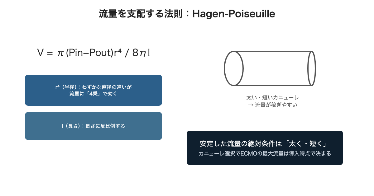流量を支配する法則:Hagen-Poiseuille