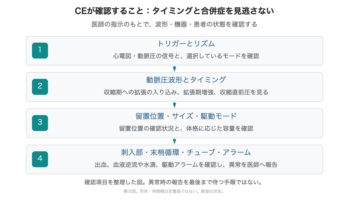 トリガー、動脈圧波形、留置位置・サイズ・モード、刺入部やチューブの確認項目