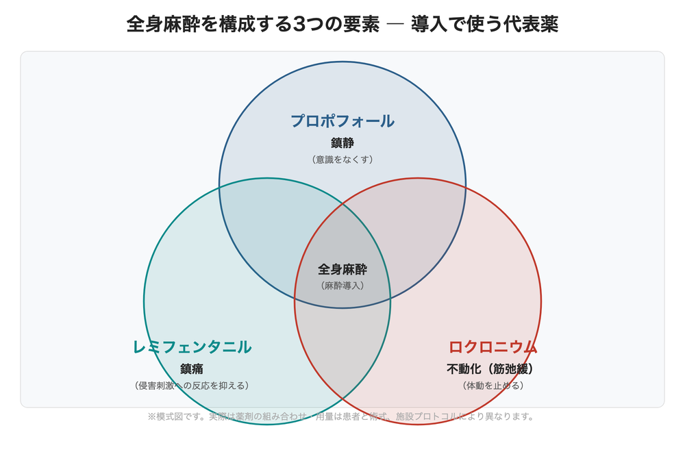 全身麻酔を構成する3つの要素 ― 導入で使う代表薬(模式図)