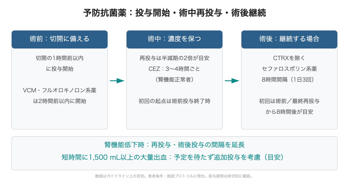 術前投与から術中再投与、術後継続時の投与間隔までの流れ