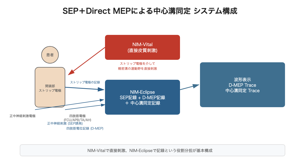 SEP+Direct MEPによる中心溝同定 システム構成