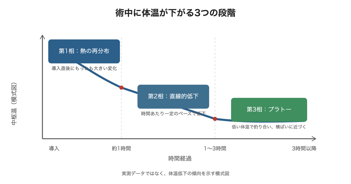 術中に体温が下がる3つの段階