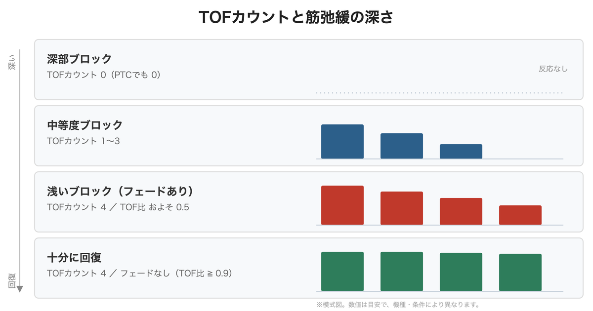 TOFカウントと筋弛緩の深さ(深部・中等度・浅いブロック・回復)