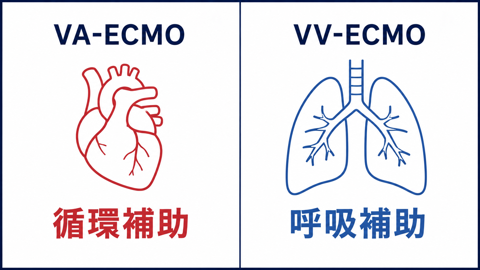 VA-ECMOは循環補助、VV-ECMOは呼吸補助