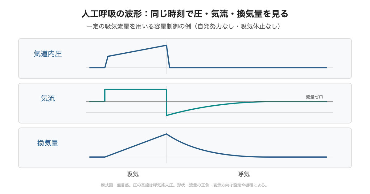 図:一定流量の容量制御を例にした波形。縦の区切りは吸気から呼気への切替です。すべてのモードで同じ形にはなりません。